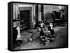 Brats, 1930-null-Framed Stretched Canvas