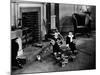 Brats, 1930-null-Mounted Photographic Print