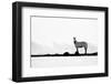 Brave One-Husain Alfraid-Framed Photographic Print