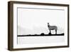 Brave One-Husain Alfraid-Framed Photographic Print