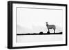 Brave One-Husain Alfraid-Framed Photographic Print