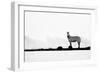 Brave One-Husain Alfraid-Framed Photographic Print