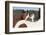 Brave Parson Russell Terrier Standing on Horse Back-Zuzule-Framed Photographic Print