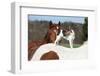 Brave Parson Russell Terrier Standing on Horse Back-Zuzule-Framed Photographic Print