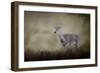 Bravery-Jai Johnson-Framed Giclee Print