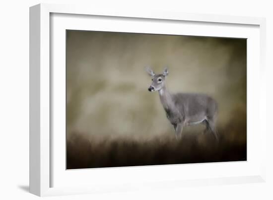 Bravery-Jai Johnson-Framed Giclee Print