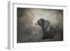 Braving the Storm-Jai Johnson-Framed Giclee Print