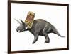 Bravoceratops Polyphemus, Late Cretaceous of Texas-null-Framed Art Print