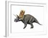 Bravoceratops Polyphemus, Late Cretaceous of Texas-null-Framed Art Print