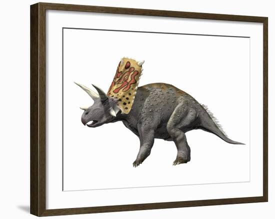 Bravoceratops Polyphemus, Late Cretaceous of Texas-null-Framed Art Print