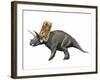 Bravoceratops Polyphemus, Late Cretaceous of Texas-null-Framed Art Print