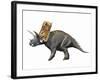 Bravoceratops Polyphemus, Late Cretaceous of Texas-null-Framed Art Print