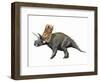 Bravoceratops Polyphemus, Late Cretaceous of Texas-null-Framed Art Print