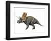 Bravoceratops Polyphemus, Late Cretaceous of Texas-null-Framed Art Print