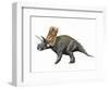 Bravoceratops Polyphemus, Late Cretaceous of Texas-null-Framed Art Print