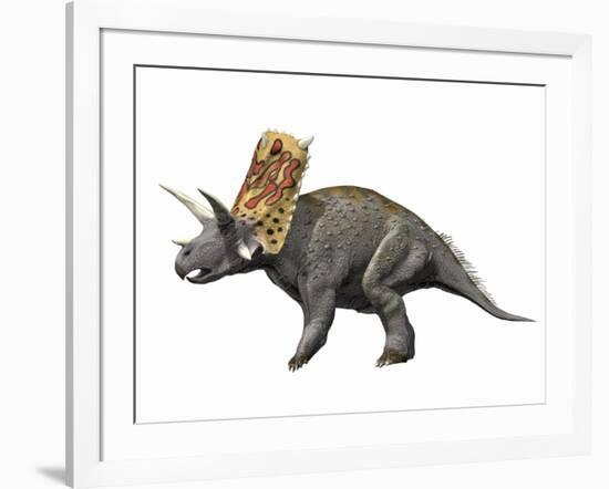 Bravoceratops Polyphemus, Late Cretaceous of Texas-null-Framed Art Print