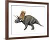 Bravoceratops Polyphemus, Late Cretaceous of Texas-null-Framed Art Print