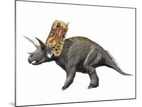 Bravoceratops Polyphemus, Late Cretaceous of Texas-null-Mounted Art Print