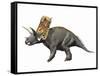 Bravoceratops Polyphemus, Late Cretaceous of Texas-null-Framed Stretched Canvas