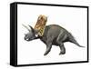 Bravoceratops Polyphemus, Late Cretaceous of Texas-null-Framed Stretched Canvas