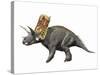 Bravoceratops Polyphemus, Late Cretaceous of Texas-null-Stretched Canvas