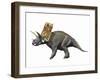 Bravoceratops Polyphemus, Late Cretaceous of Texas-null-Framed Art Print