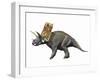 Bravoceratops Polyphemus, Late Cretaceous of Texas-null-Framed Art Print