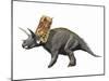 Bravoceratops Polyphemus, Late Cretaceous of Texas-null-Mounted Art Print