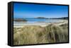 Braye Bay, Alderney, Channel Islands, United Kingdom-Michael Runkel-Framed Stretched Canvas