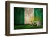 Brazil 2014 against Nigeria Flag in Grunge Effect-Wavebreak Media Ltd-Framed Photographic Print