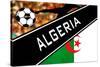 Brazil 2014 - Algeria-null-Stretched Canvas
