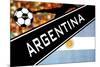 Brazil 2014 - Argentina-null-Mounted Poster