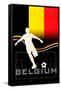 Brazil 2014 - Belgium-null-Framed Stretched Canvas