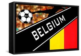 Brazil 2014 - Belgium-null-Framed Stretched Canvas