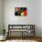 Brazil 2014 - Belgium-null-Framed Stretched Canvas displayed on a wall