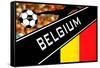 Brazil 2014 - Belgium-null-Framed Stretched Canvas