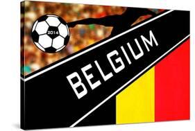 Brazil 2014 - Belgium-null-Stretched Canvas