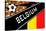 Brazil 2014 - Belgium-null-Stretched Canvas