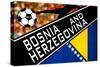 Brazil 2014 - Bosnia and Herzegovina-null-Stretched Canvas