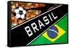 Brazil 2014 - Brazil-null-Framed Stretched Canvas