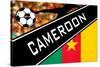 Brazil 2014 - Cameroon-null-Stretched Canvas