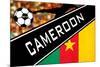 Brazil 2014 - Cameroon-null-Mounted Poster