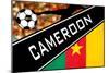 Brazil 2014 - Cameroon-null-Mounted Poster