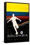 Brazil 2014 - Colombia-null-Framed Stretched Canvas