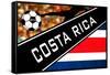 Brazil 2014 - Costarica-null-Framed Stretched Canvas