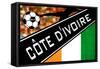 Brazil 2014 - Cote d'Ivoire-null-Framed Stretched Canvas