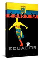 Brazil 2014 - Ecuador-null-Stretched Canvas
