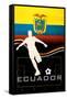 Brazil 2014 - Ecuador-null-Framed Stretched Canvas