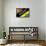 Brazil 2014 - Ecuador-null-Framed Stretched Canvas displayed on a wall