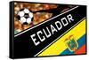 Brazil 2014 - Ecuador-null-Framed Stretched Canvas
